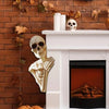 Skeleton Peeker Behind a Tree Halloween Decor